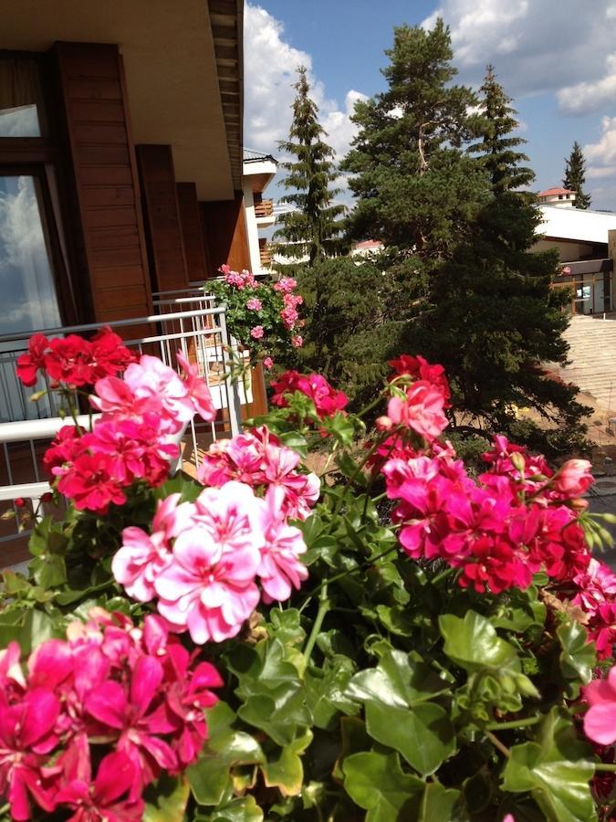 Dafovska Hotel Pamporovo Exteriér fotografie